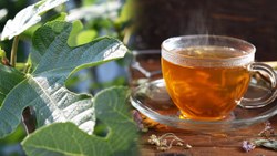 İncir yaprağı faydaları nelerdir, neye iyi gelir? İncir yaprağı çayı tarifi!