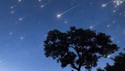 Leonid meteor yağmuru bu gece zirve yapacak