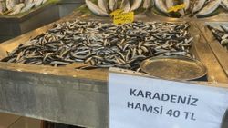 Balık tezgahlarında hamsi 80 liradan 40’a düştü