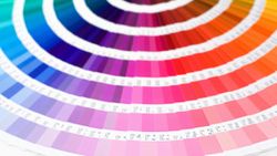 2023 rengini belli etti! Pantone VIVA MAGENTA nasıl bir renk?