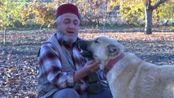 Elazığ'daki kangal et yerine sebze yiyor