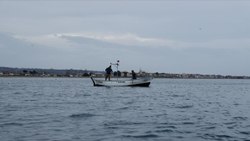 Karadeniz'in sahil köyünde geleneksel balıkçılıkla geçim mücadelesi