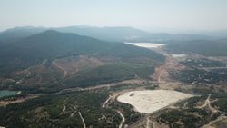 “Ağaç tarımı” yapılarak ekolojik ormanları korumak mümkün