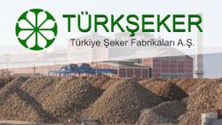 Türkiye Şeker Fabrikası işçi alımı! Türkşeker personel alımı başvurusu nasıl yapılır, şartları nelerdir?