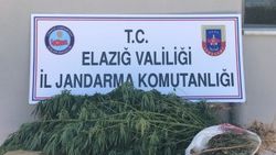 Elazığ'da uyuşturucu operasyonu