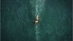 In The Heart Of The Sea filminden fragman - İzle