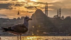 Genç yazarlar şiir ve hikayeleriyle İstanbul’u anlatacak