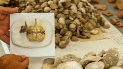 8 bin yıllık çipura kalıntısı bulundu
