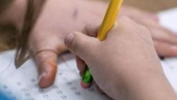 Okulda başarının ne kadarını genler belirliyor