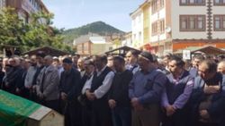 Arının soktuğu şahıs hayatını kaybetti
