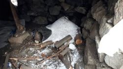 Kars'ta PKK sığınağı ele geçirildi