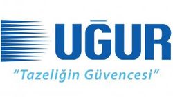 Aydın'da 48 şirkete kayyum atandı