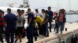 Ayvacık'ta 51 kaçak yakalandı