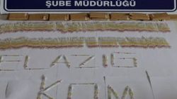 Elazığ'da 280 tüp kobra zehri ele geçirildi