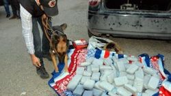 Diyarbakır'da uyuşturucu operasyonu
