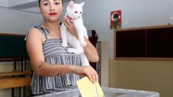 Kedisiyle oy vermeye giden seçmen