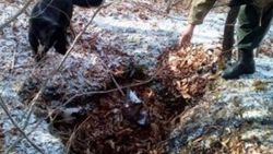Tokat'ta PKK sığınağı bulundu