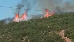 Isparta'da orman yangını etkili oldu