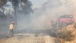 Muğla'daki yangın etkili oldu