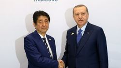 Erdoğan, Japonya Başbakanı Abe'yle görüştü