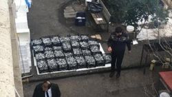 Meclis'te hamsi ziyafeti
