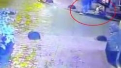 Cihangir'de kaçak elektrik akımına kapılan köpek öldü
