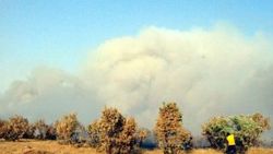 Tunceli ve Nusaybin'de orman yangını