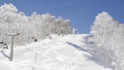 Kartepe'de kar kalınlığı 3 metreye ulaştı