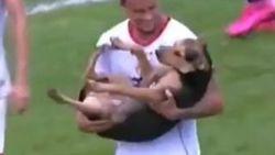 Futbolcular sahaya giren köpeği kucaklayarak çıkardı