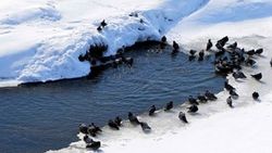Doğu'da en düşük hava sıcaklığı -12