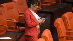 Meclis'te bahar havası