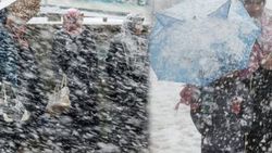 Doğu Anadolu'da lapa lapa kar yağdı