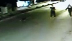 Sultanbeyli'de pitbulla gasp kamerada