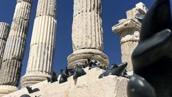 Apollon Tapınağı mitolojik farelerine kavuştu