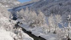 Tunceli'de kar yağışı nedeniyle 250 köy yolu kapandı