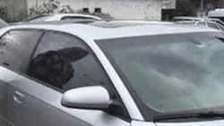 Kadın sürücü trafik cezasını iptal ettirdi