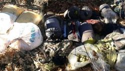 Bingöl'de PKK'ya ait 2 sığınak imha edildi