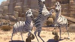 Cesur Zebra'dan Türkçe teaser yayınlandı -Tıkla İzle