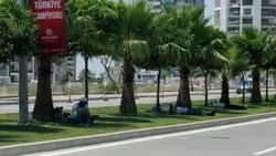 Adana'da refüjde siesta