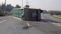 Aydın'da oksijen tüpü taşıyan tır devrildi