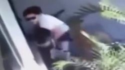 ABD'de annenin saldırgan köpeklerden oğlunu koruduğu an