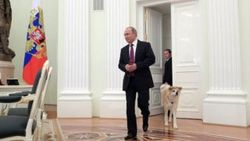 Putin Japon gazetecileri köpeğiyle korkuttu