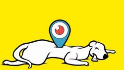 Meerkat Periscope'a yenildi