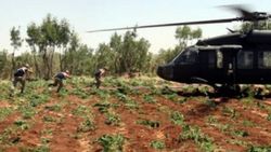 Diyarbakır'da 10 kilo esrar ele geçirildi