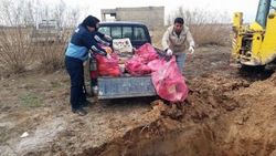 Şanlıurfa'da bir lokantada kedi eti ele geçirildi