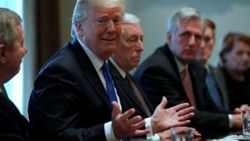 Trump muhtemel rakibi Oprah'a meydan okudu