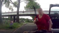 Trafikte pala çekti
