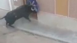 İspanya'da boğa dehşeti