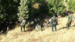 Şırnak'ta PKK'lı teröristler kaçırdıkları çobanı öldürdü
