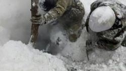 TSK Bitlis'te PKK sığınaklarını imha etti